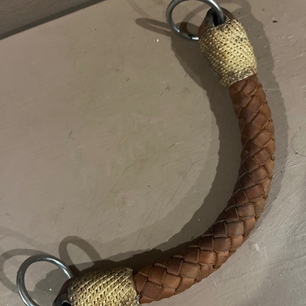 Training nose band
